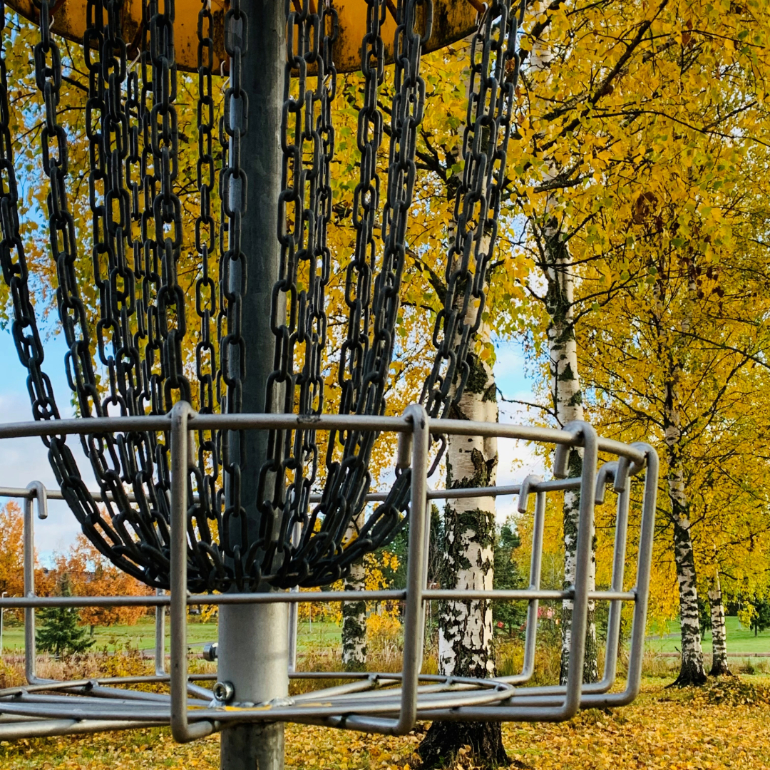 Akustinpuisto DiscGolfPark 6 väylää